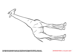 Jak wysoka jest żyrafa? Scenariusz zajęć z okazji Dnia Żyrafy, cz. 1 (PD)