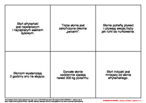 Słoniowe wyzwania. Scenariusz zajęć z okazji Dnia Słonia, cz. 1 (PD)