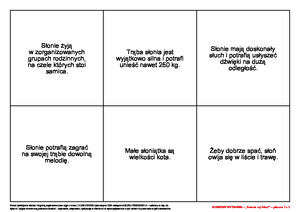 Słoniowe wyzwania. Scenariusz zajęć z okazji Dnia Słonia, cz. 1 (PD)