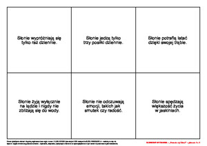 Słoniowe wyzwania. Scenariusz zajęć z okazji Dnia Słonia, cz. 1 (PD)