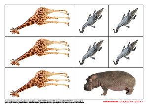 Słoniowe wyzwania. Scenariusz zajęć z okazji Dnia Słonia, cz. 1 (PD)