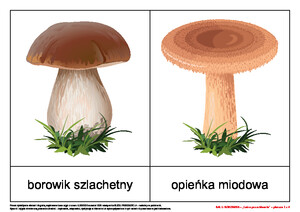 Bal u borowika, cz. 2 (PD)