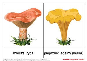 Bal u borowika, cz. 2 (PD)