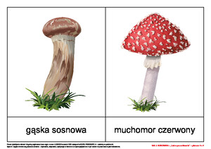 Bal u borowika, cz. 2 (PD)