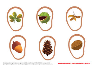 Jesienna misja ratunkowa, cz. 1 (PD)