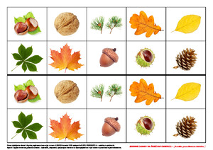Jesienne zabawy na świeżym powietrzu. Pomysły na sprawdzone aktywności (PD)
