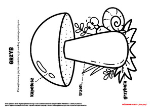 KĄCIK CZYTELNICZY - CO WIDZĘ? CO SŁYSZĘ? PAŻDZIERNIK W LESIE, cz. 1 (PD)