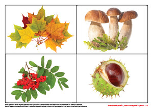 Zagadkowa jesień (PD)