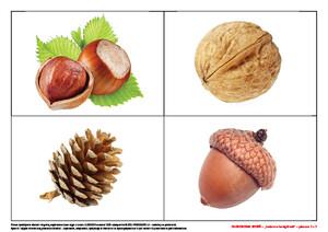 Zagadkowa jesień (PD)