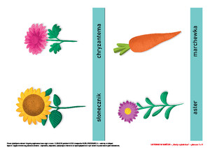 KĄCIK CZYTELNICZY - CO WIDZĘ? CO SŁYSZĘ? LISTOPAD W MIEŚCIE JESIENNY TARG, cz. 2 (PD)