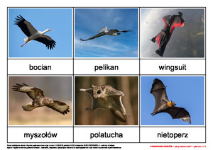 Powietrzne podróże, cz. 2 (PD)