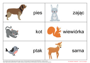 Jak możemy pomagać? (PD)