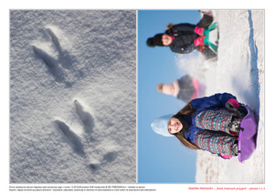 Śnieżne przygody, cz. 2 (PD)