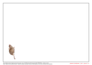 Zabawy ze śnieżkami (PD)