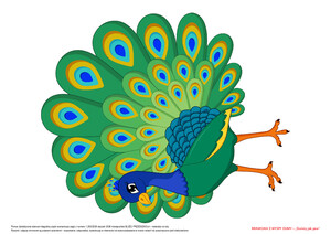 Brawojka z Wyspy Dumy, cz. 2 (PD)