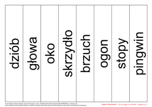 Zabawy pingwinów (PD)