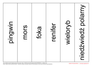 Ziemia na biegunach, cz. 1 (PD)