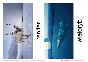 Ziemia na biegunach, cz. 2 (PD)