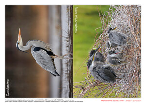 Przygotowanie do Wielkanocy, cz. 1 (PD)