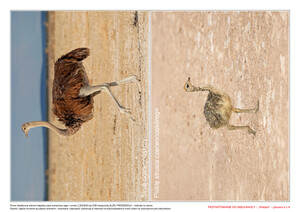 Przygotowanie do Wielkanocy, cz. 1 (PD)