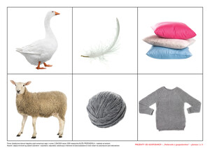 Prezenty od gospodarzy (PD)