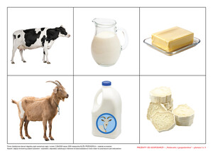 Prezenty od gospodarzy (PD)