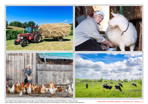 Przyjaciele z wiejskiej zagrody, CZ. 1 (PD)