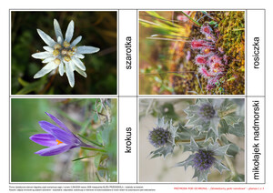 Przyroda pod ochroną, CZ. 2 (PD)