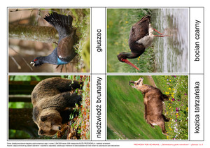 Przyroda pod ochroną, CZ. 2 (PD)