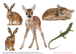 Cichutko jak kamyk, CZ. 2 (PD)