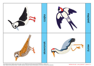 KĄCIK CZYTELNICZY - CO WIDZĘ? CO SŁYSZĘ? WIOSNA NA ŁĄCE, CZ. 2 (PD)