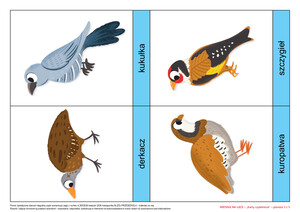 KĄCIK CZYTELNICZY - CO WIDZĘ? CO SŁYSZĘ? WIOSNA NA ŁĄCE, CZ. 2 (PD)