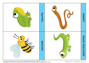 KĄCIK CZYTELNICZY - CO WIDZĘ? CO SŁYSZĘ? WIOSNA NA ŁĄCE, CZ. 2 (PD)