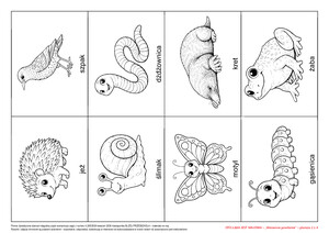 Oto łąka jest majowa (PD)