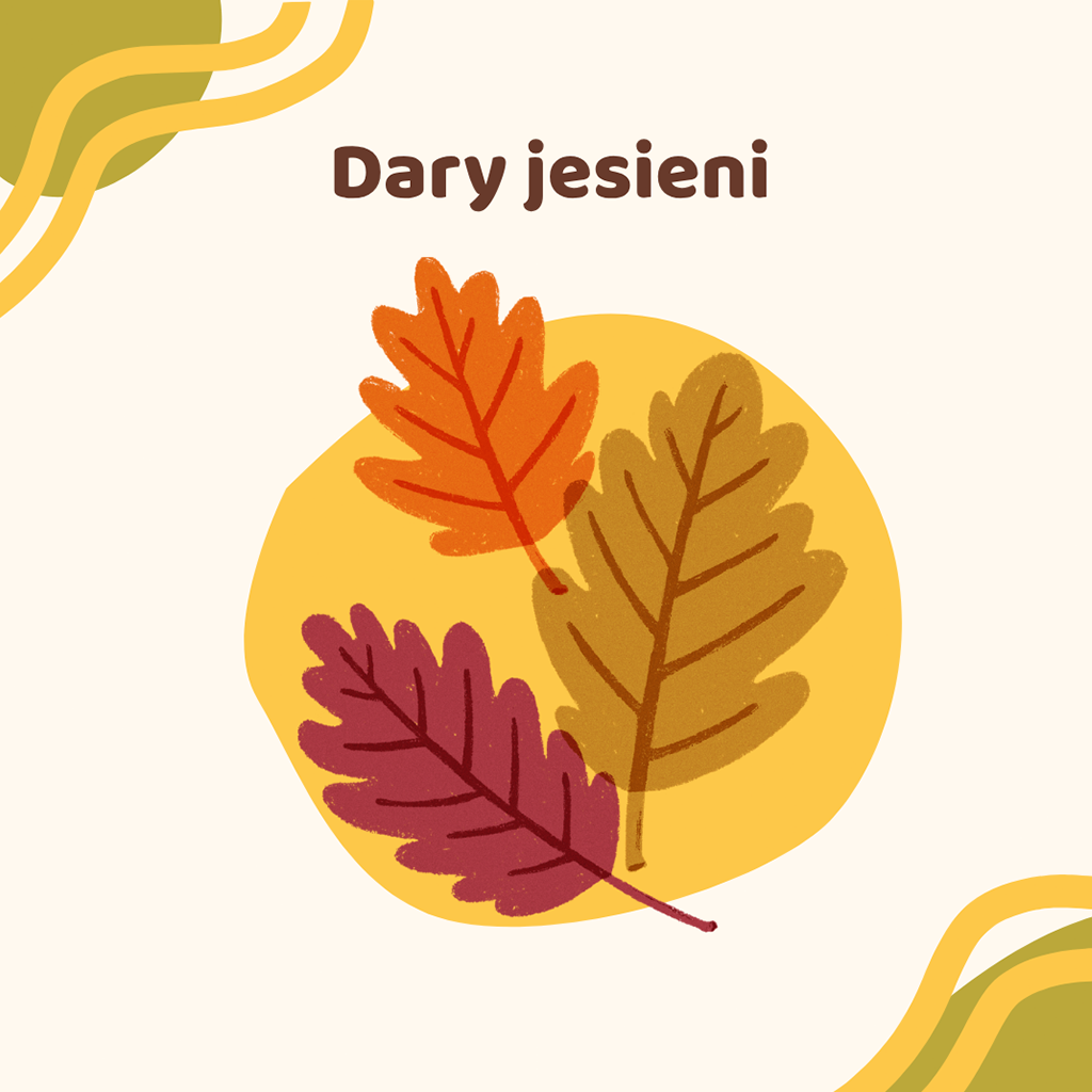 Dary jesieni – materiał w bliżej MAX