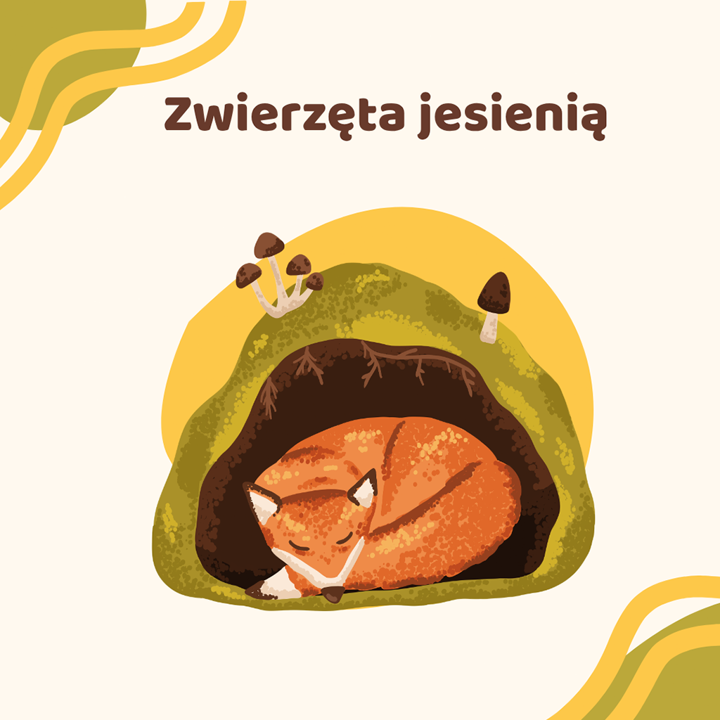 Zwierzęta jesienią – materiał w bliżej MAX