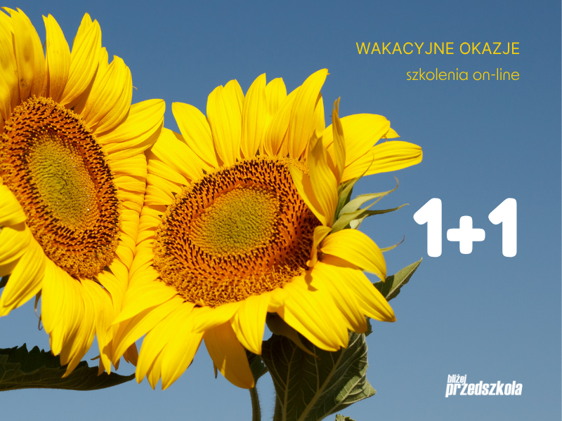 Wakacyjne okazje – szkolenia online 1+1 gratis, Akademia Edukacji