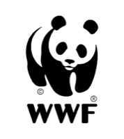 WWF — Nasi wystawcy i reklamodawcy, BLIŻEJ PRZEDSZKOLA