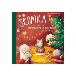Słomka – kotek, który czekał na Gwiazdkę