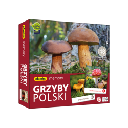 Grzyby Polski Memory - Gra Edukacyjna | Poznaj Gatunki