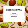 DZIEŃ KASZTANA w przedszkolu - pakiet pomocy dydaktycznych online