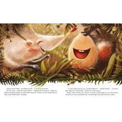 Niedźwiadek - RÓŻNE TYTUŁY