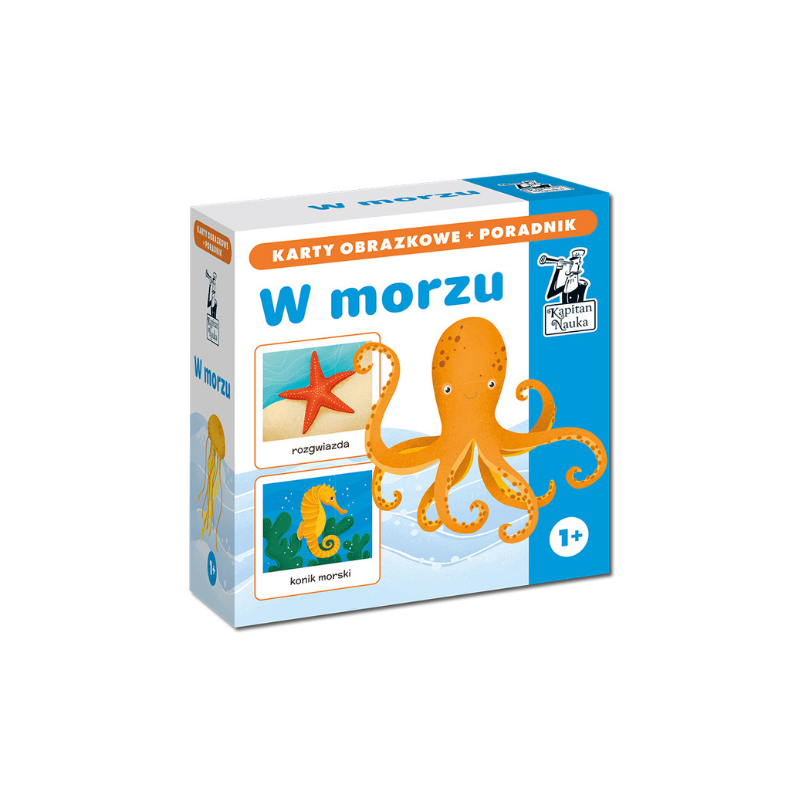 W morzu. Karty obrazkowe