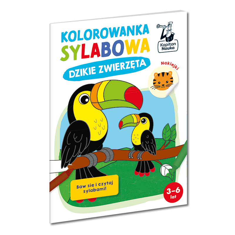 Kolorowanka sylabowa - RÓŻNE TYTUŁY