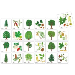 Drzewa Polski - memory