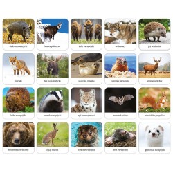 Ssaki Polski - memory