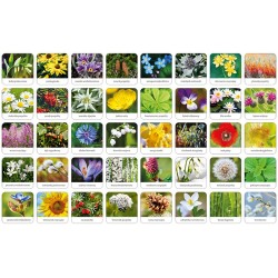 Flora Polski - memory