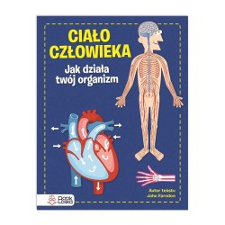 Ciało człowieka. Jak działa Twój organizm