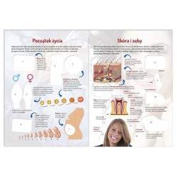 Ciało człowieka. Naklejki edukacyjne