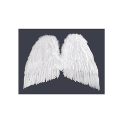 Skrzydła anioła